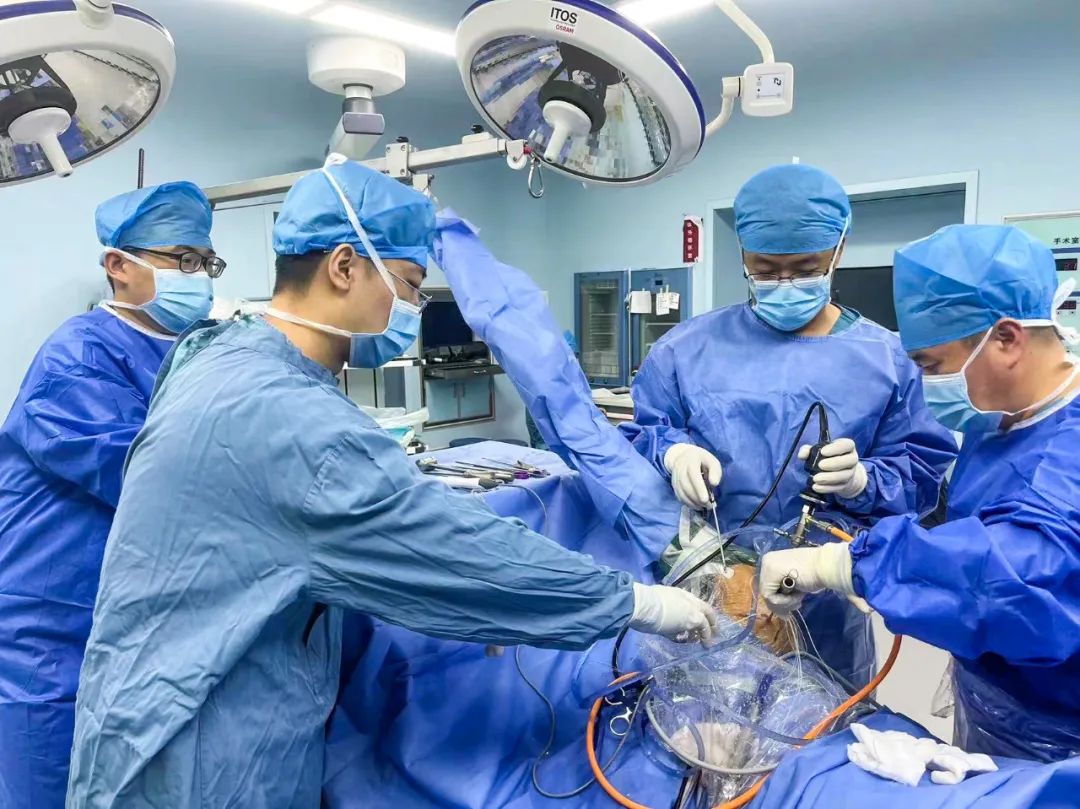 1695006920650075030.jpg 1695006920650075030.jpg